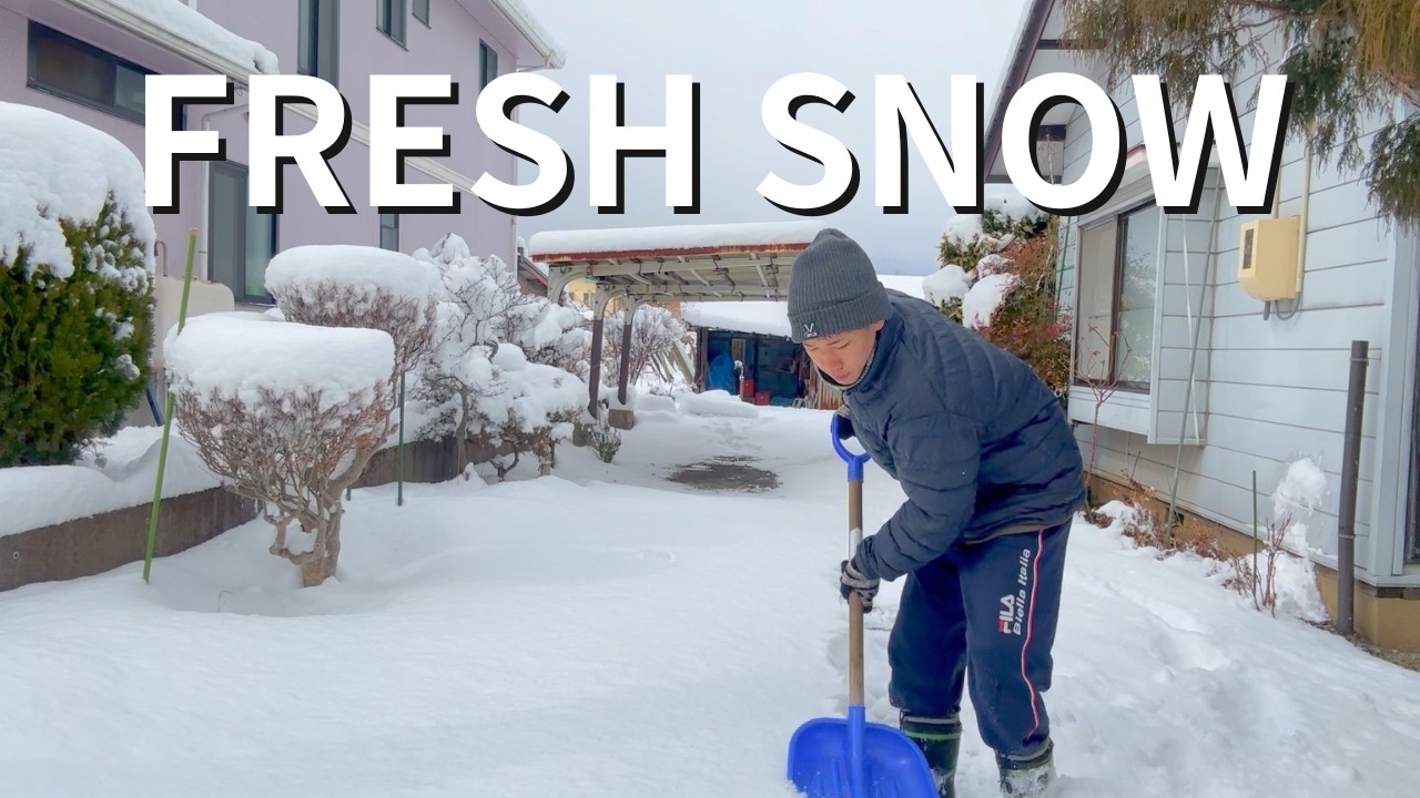 🇯🇵Snow Day in Rural Japan | Cats, Ramen, and Winter Life
