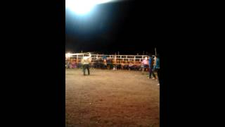 San jose la pradera 215 (jaripeo)