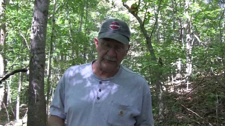 FAQ 58  ( How much land needed for shooting)