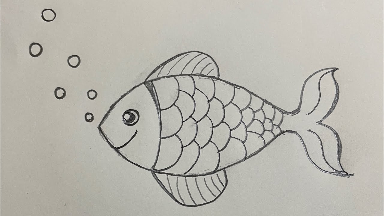 How to draw fish with pencil ✏️ 