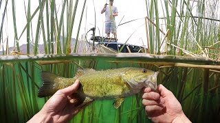 Fishing in Crystal Clear Water! - Vlog (Bass Fishing) Powered by LTB | DALLMYD