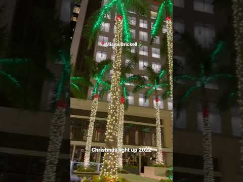Christmas Lights up