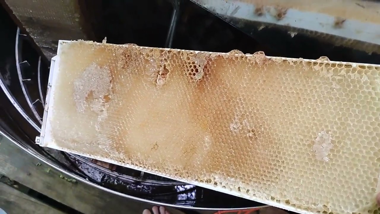 This is Why I extract honey and not use the wax comb or waste comb.  