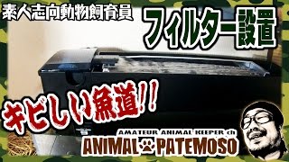 初めて金魚を飼う!!フィルター設置編(寿工芸 トリプルボックス600) 【金魚・Goldfish】