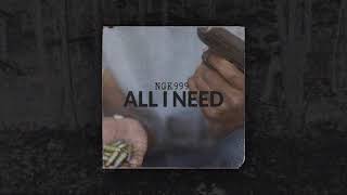 NGK999 - ALL I NEED