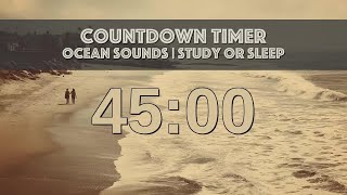 45 minute Timer Ocean Sounds and Beach Vibes