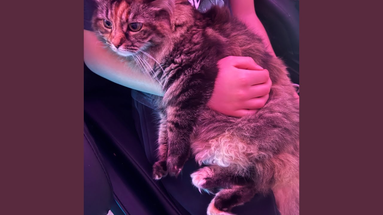 Watch snuggles on YouTube Watch snuggles on YouTube