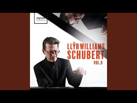 Смотреть «Schwanengesang von Franz Schubert, S. 560: X. Liebesbotschaft» на YouTube