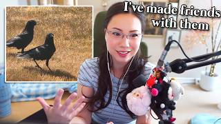 Download lagu Jodi couldn't believe what the crows brought her