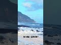 Surfspot? Madeira Wellen Meer #meer #surfen #insellife