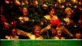 2005 Living Christmas Tree Promo