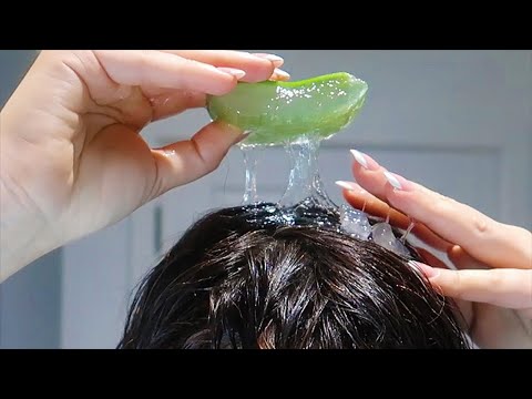 کاش زودتر میفهمیدم آلوئه ورا را باید اینجوری روی مو گذاشت ماسک مو آلوورا ماسک آلوورا