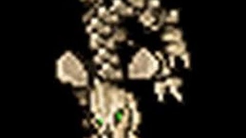 [2] Tibia Soderbaum Antica - Undead Cavebear hype