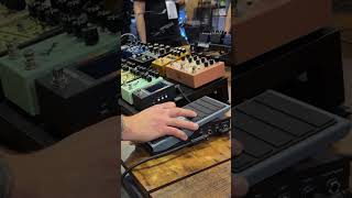 Smooth Volume Swells – Walrus Audio Canvas | NAMM 2026