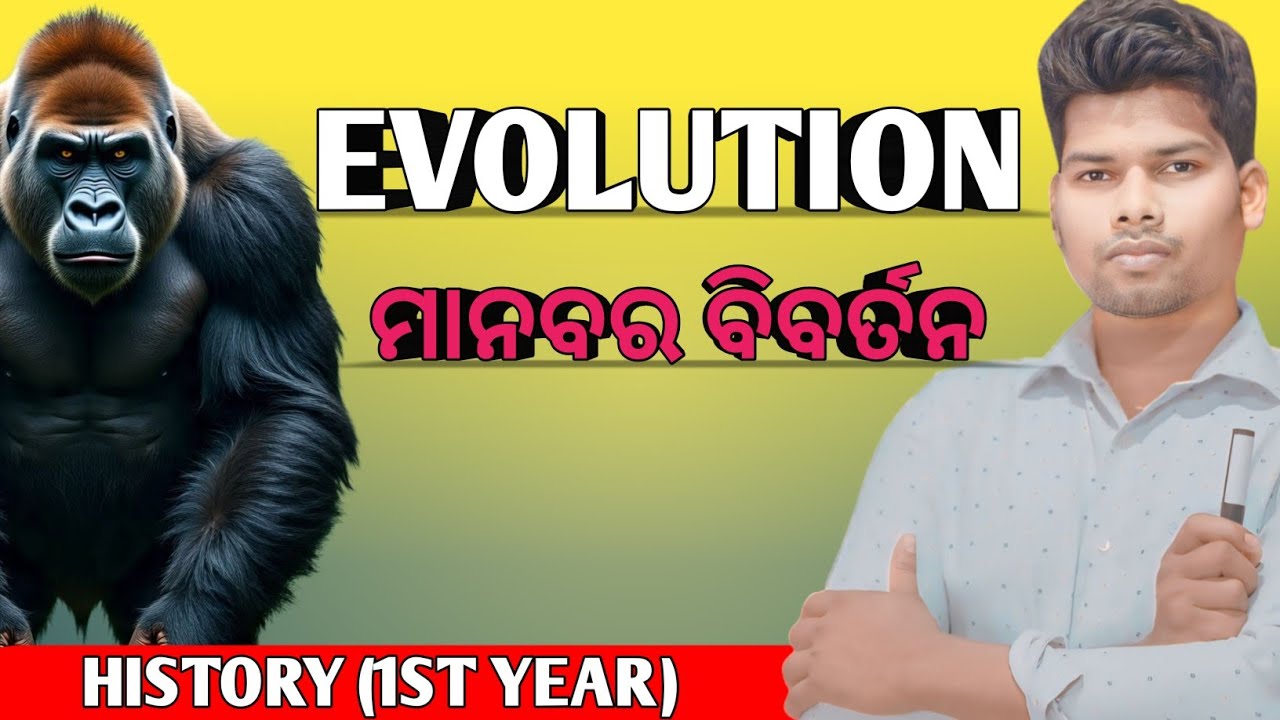 ମାନବର ବିବର୍ତନ||Evolution of Human|"Manabara bibartana||Evolution in odia|#