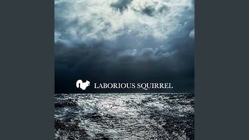 The Squirrel Feeds Itself Laboriously