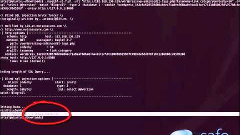 ‪WordPress 3.1.3 SQL Injection Vulnerabilities