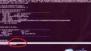 ‪WordPress 3.1.3 SQL Injection Vulnerabilities