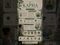 KAPHA 🌿 | Kapha Dosha Explained in 60 Seconds | Ayurveda Shorts