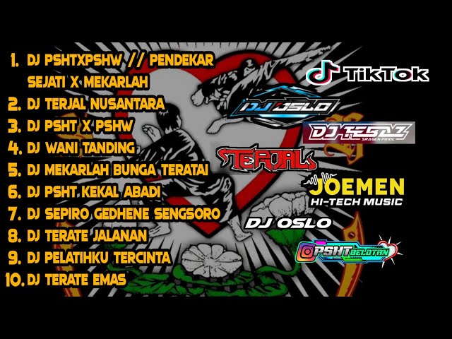 DJ PSHT Full Album Terlengkap // Remix PSHT x PSHW // Pendekar Sejati // Mekarlah Bunga Terate class=