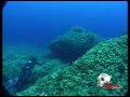 Los Misterios de la Pesca submarina. Trailer ReivaxFilms