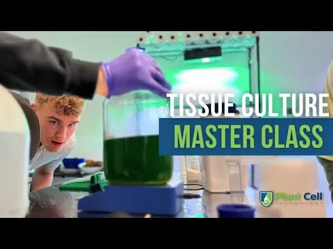 PCT Presents: Plant Tissue Culture Master Class ! - YouTube