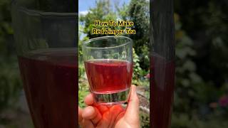 Roselle Tea #garden #gardening #foodforest #permaculture #growyourownfood #tea #roselle #hibiscus