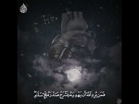 نهونديات المنشاوي