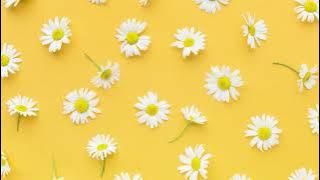 JAWA FULL ALBUM CIDRO RS20030