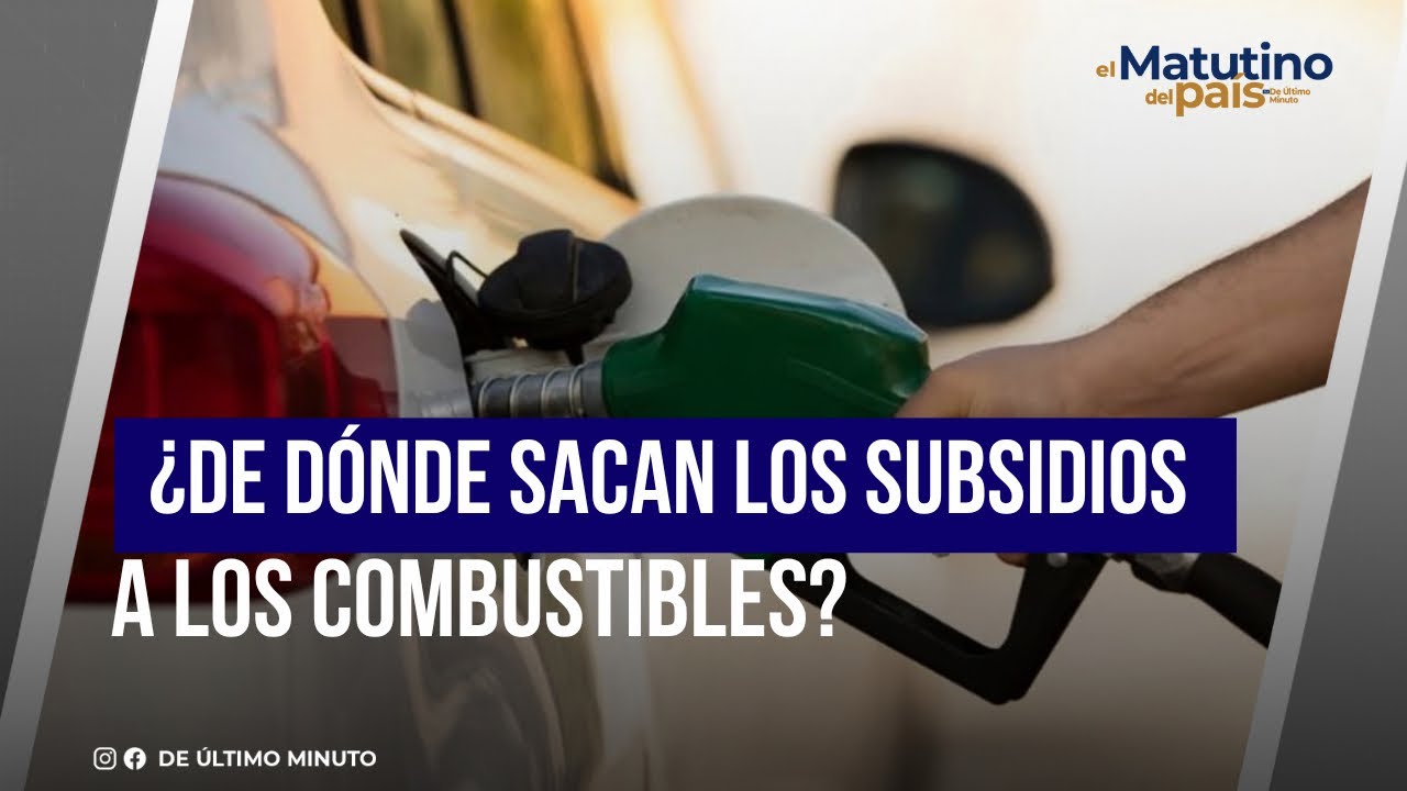 WHERE DO FUEL SUBSIDIES COME FROM? IVÁN SILVA RESPONDS