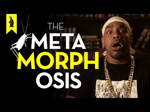 the metamorphosis short summary