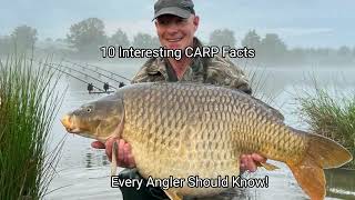 10 Interesting Carp Facts Every Angler Should Know!