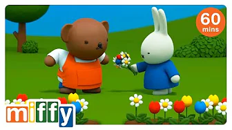 Boris Bear's Big Bouquet | Miffy | Cartoons for kids
