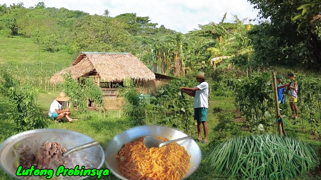 Dinuguang Laman loob at Pansit Guisado | Namitas ng Gulay at Nagtabas sa bukid