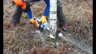 Vedhuggning och vedpriser. Olika försäljningsformer och måttslag samt lite huggartips.