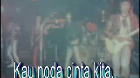 TZ   Cinta palsu