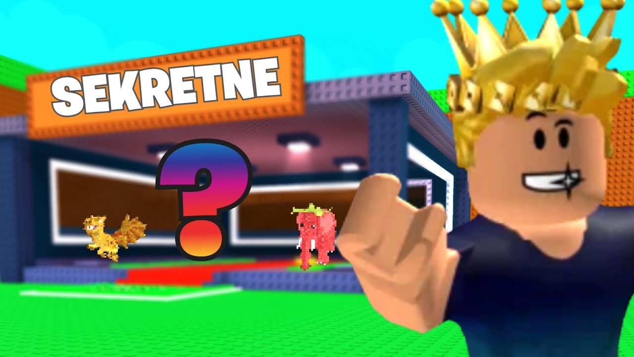 KUPIŁEM MYSTERY KONTA ZA 300ZŁ W Steal a Brainrot