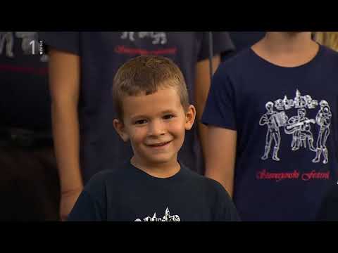 Mešani pevski zbor