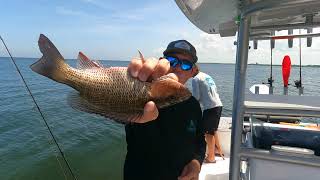 Poseidon Fishing Charters - Inshore Fishing In Tampa Bay