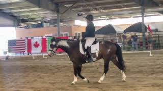 L5 Working Equitation dressage test, Can/Am Cup May 2023 Jasper/Meghan 65% from WAWE judge A Vicente