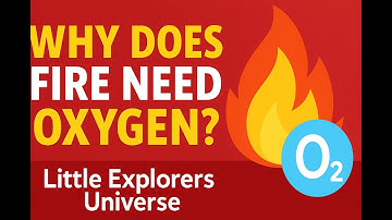 🔥 Why Does Fire Need Oxygen? | Little Explorers Universe