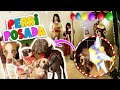 🐶PERRI POSADA 🐕 🐕❤️¡ROMPIERON SU PIÑATA!🎊COMIERON DULCES🍡 🎶¡Con Mi Perrito Sabanero! 🎶| CAMPAMENTO 🏠