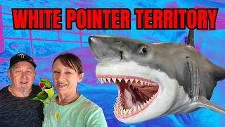 SHARK COUNTRY | EXPLORING PORT LINCOLN AND THE EYRE PENINSULA