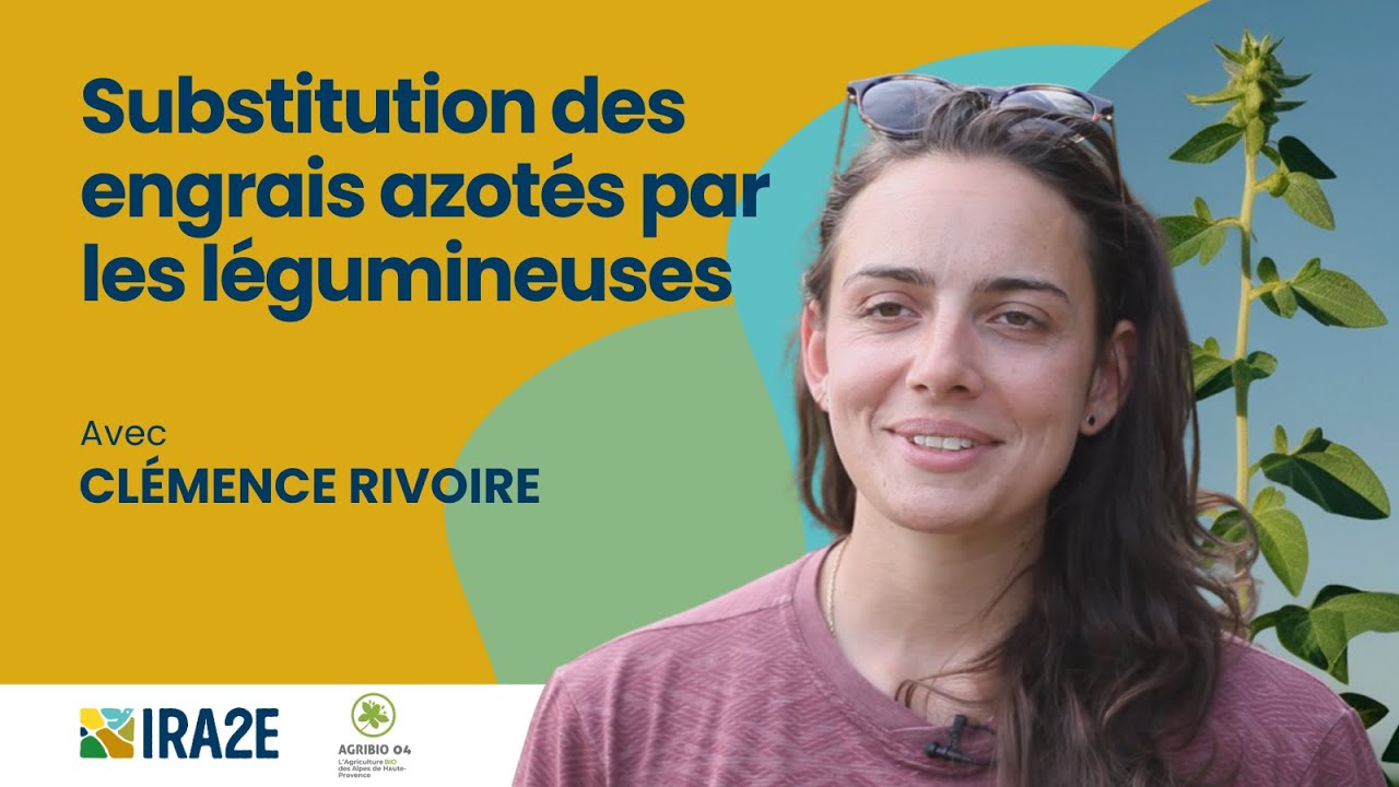 L'auto fertilité : substituer les engrais azotés avec des légumineuses