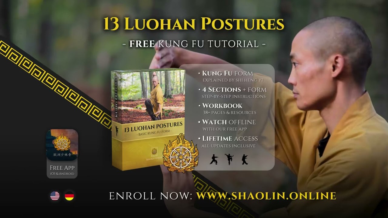 New Free Online Course 💮 The Forms – 13 Luohan Postures 羅漢十三式气功 💮