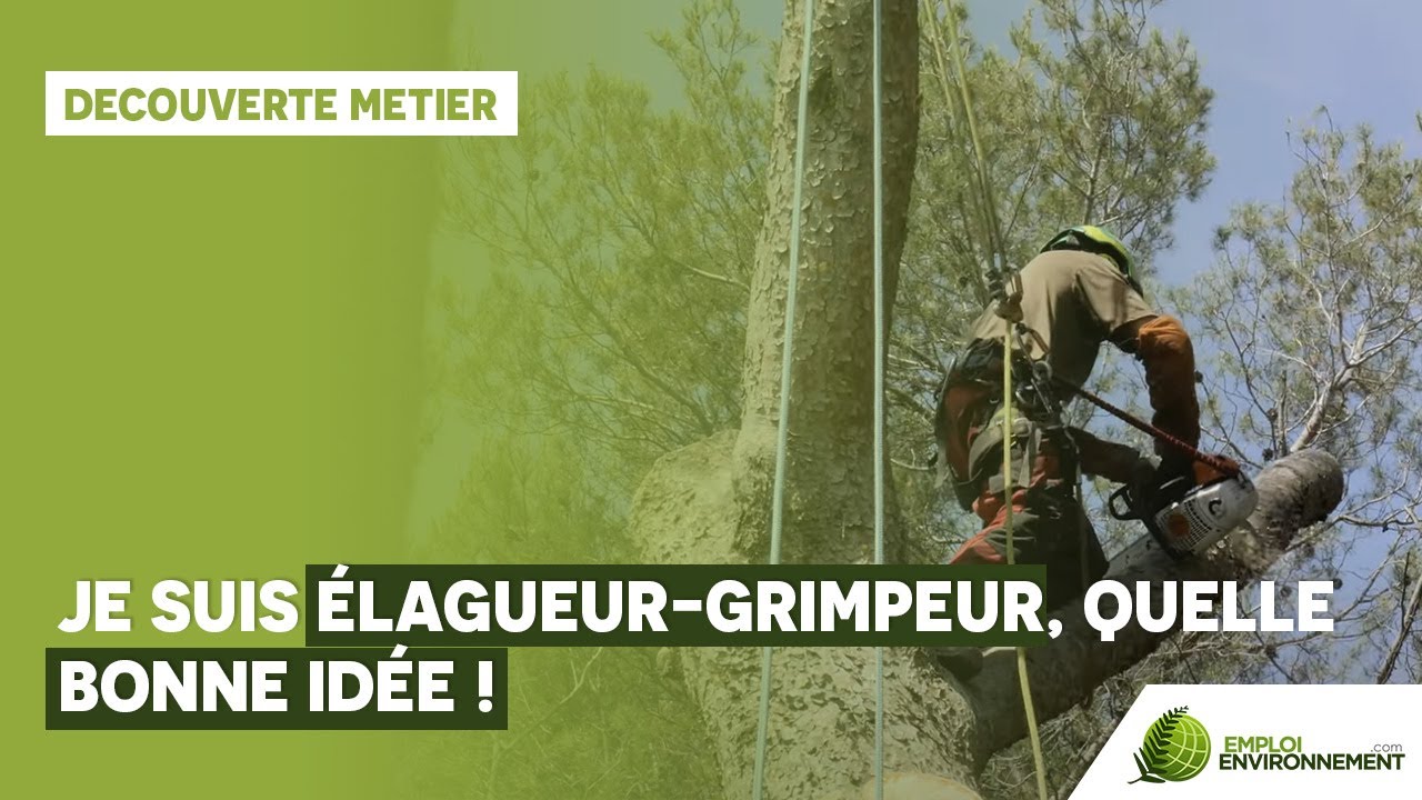 Je suis élagueurgrimpeur, quelle bonne idée ! YouTube