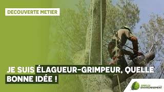 Je suis élagueur-grimpeur, quelle bonne idée !