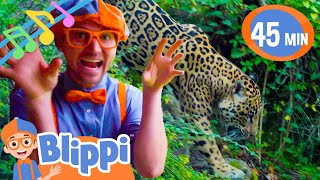 Blippi's Wildlife Song (Puma Version) ROAR+ More Animal Songs | BLIPPI | Educational Songs For Kids screenshot 2