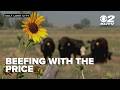 Why beef prices are skyrocketing in Utah