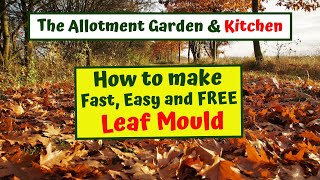 How to Make Fast, Easy and Free Leaf Mould (Mold)